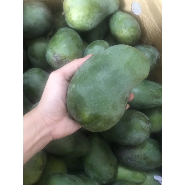 Combo 3kg trái cây bất kỳ chôm chôm chôm thái, ổi nữ hoàng, cam sành vĩnh long, nhãn thái ido.