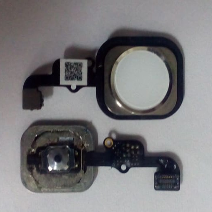 Cáp phím Home IPHONE 6S/6S Plus