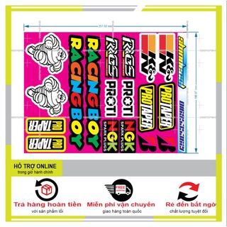 SHINDECAL- LOGO STICKER RACING BOY