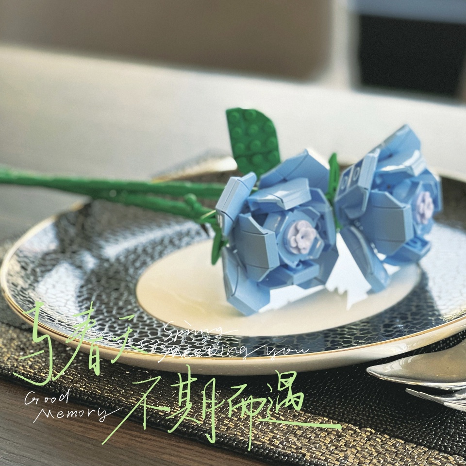 Đồ chơi lắp ráp mô hình hoa hồng xanh -jk26311