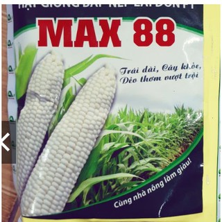 GIỐNG NGÔ NẾP MAX 88 GÓI 100GR