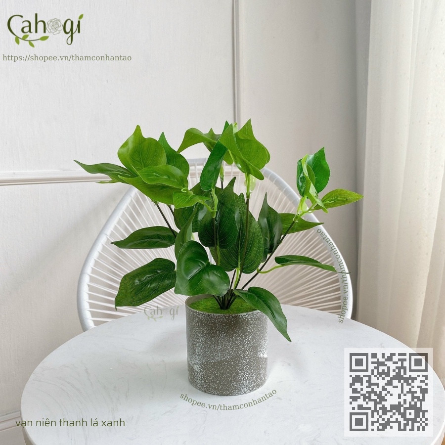Cây Giả Để Bàn 25-30 Cm Nhiều Chủng Loại, Cây Giả Trang Trí Tường Cỏ, Cây Nhựa Trang Trí Nhà, Cây Trang Trí Văn Phòng