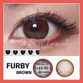 Lens Furby/holly brown/nâu| giãn vừa