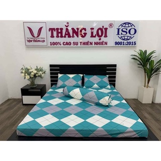 [Chính Hãng] Nệm Cao Su Non Thắng Lợi