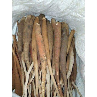Sâm cau đỏ Tây Bắc 1kg