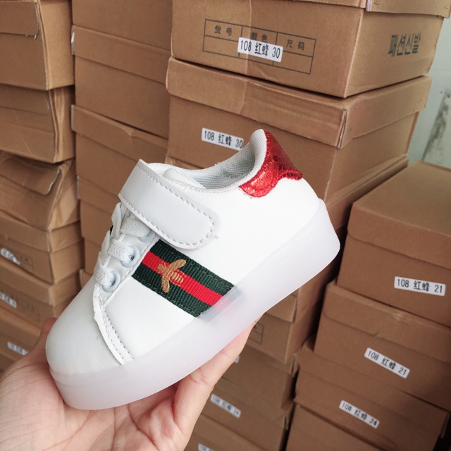 Giày gucci