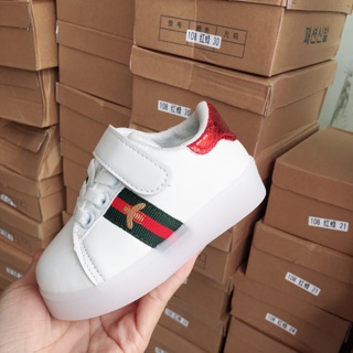 Giày gucci