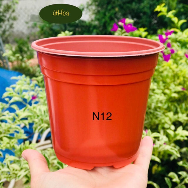 [ SLL giá rẻ] Chậu nhựa nâu N12 size nhỏ trồng cây, ươm cây