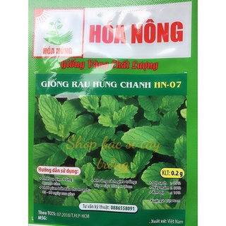 Hạt Giống Rau Húng Chanh Dễ Trồng ăn ngon