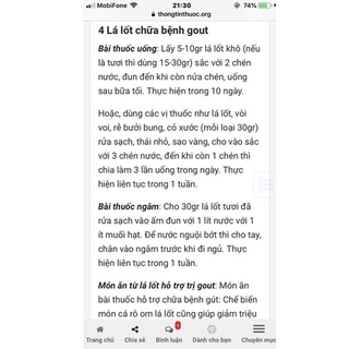 Chậu nhựa lá lốt