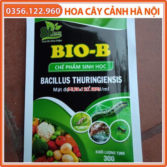 10 gói chế phẩm sinh học Bio-b 30g