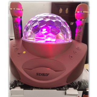 Loa Karaoke Bluetooth Đèn Led Vũ Trường SD 308
