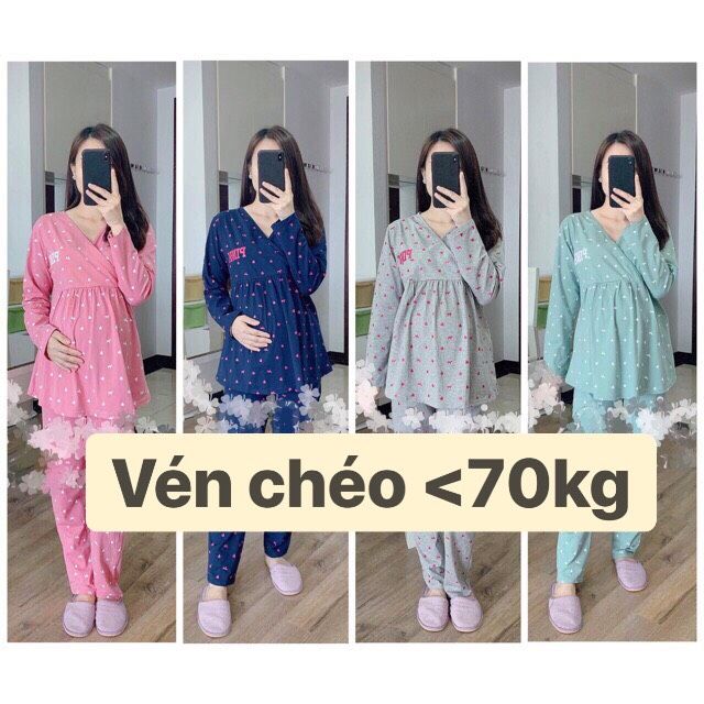 Bộ bầu và cho con bú sau sinh Dài Tay Pink, chất cotton Cao Cấp cho mẹ bầu mặc nhà Thu Đông có bigsize 85kg