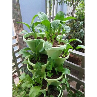 Combo  6 chậu xếp tầng, 6  tầng trồng rau, trồng hoa (tháp trồng cây) hàng việt nam