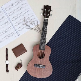Đàn ukulele concert