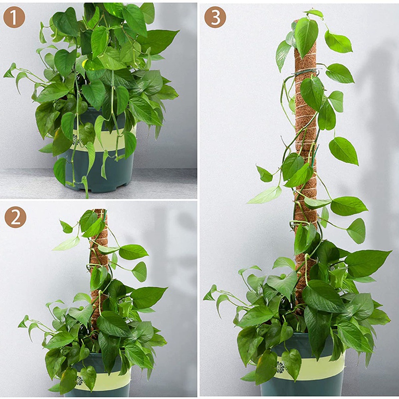 Bộ 10 Thanh Rêu Xoắn 16 inch Hỗ Trợ Nối Dài Kèm 30 Đầu Tabs &amp; 5 Dây Cột