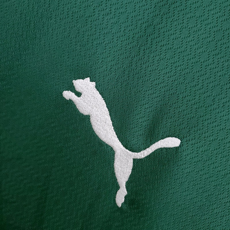 Áo Thun Bóng Đá Đội Nhà Palmeiras Số 22-23