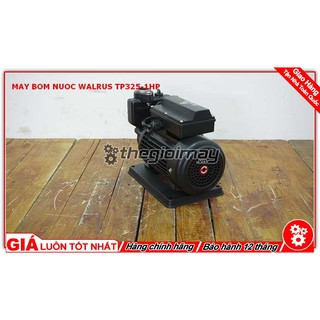 Máy bơm nước bánh răng đẩy cao Walrus TP325