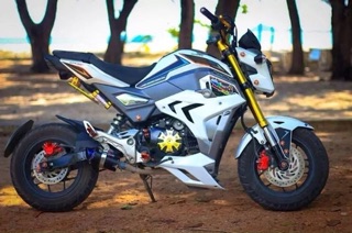 Cánh chim BMW cho MSX