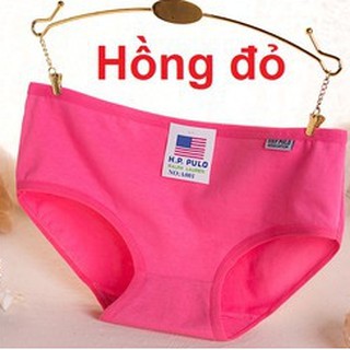 Quần Lót Pulo Cotton Đẹp