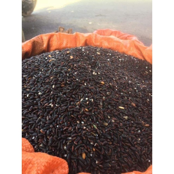 Gạo nếp cẩm Điện Biên