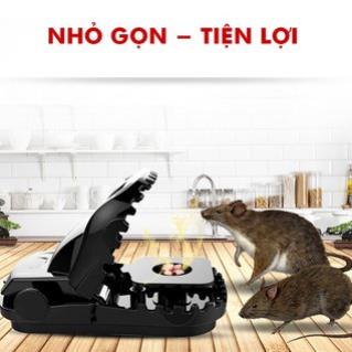 BẪY CHUỘT ĐEN THÔNG MINH - CẠM KẸP