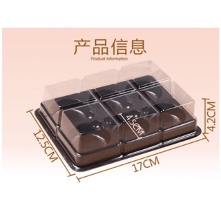Set 10 hộp đựng bánh 50g FG334