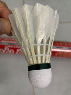 Ống cầu lông hải âu