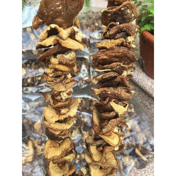 Nấm hương rừng khô Tây Bắc gói 500g hàng loại 1, nấm hương rừng  xiên que phơi khô tự nhiên thơm ngon