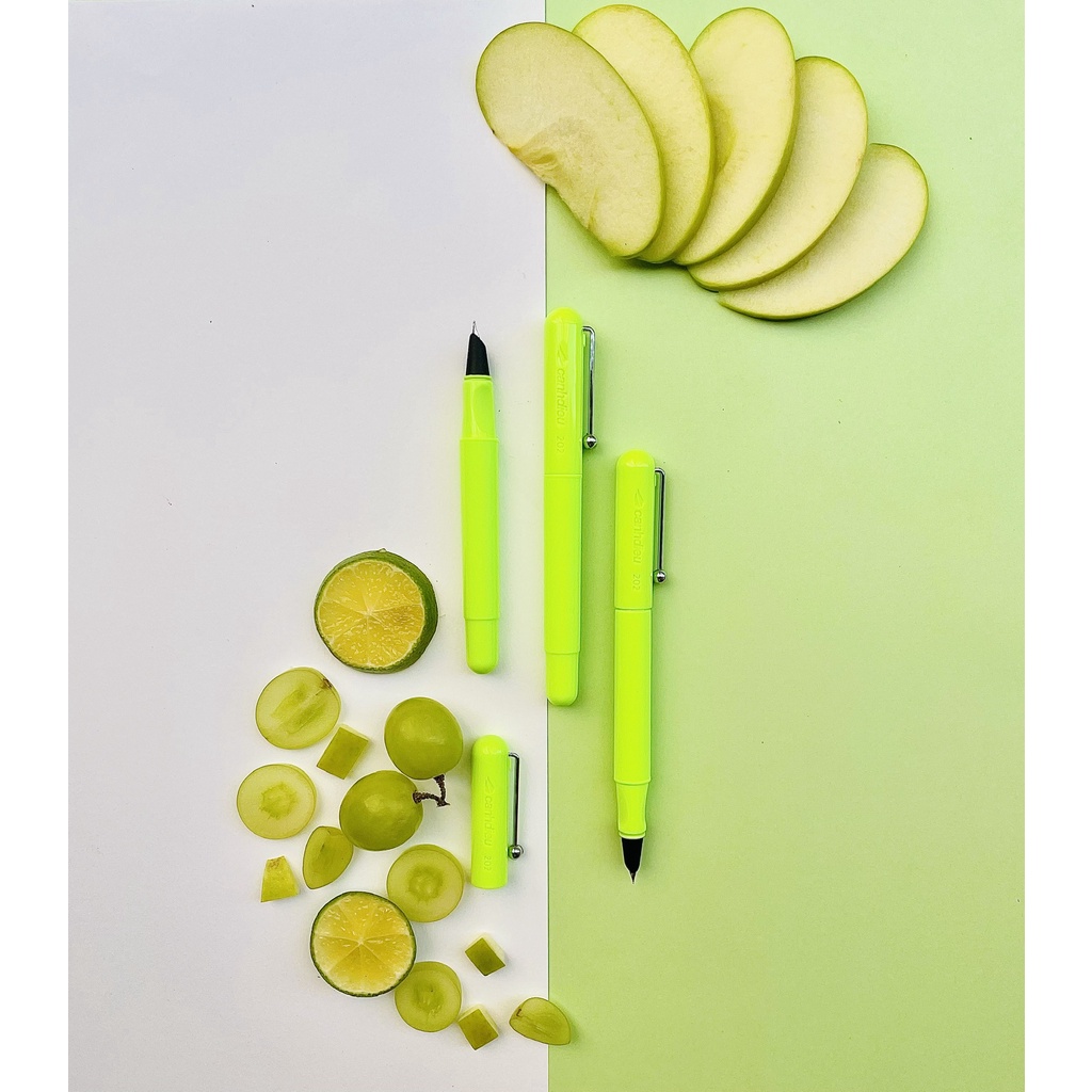 Bút máy học sinh Cánh Diều 202