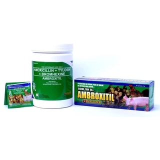 Ambroxitil úm gà con, phòng bệnh cho gà đá.