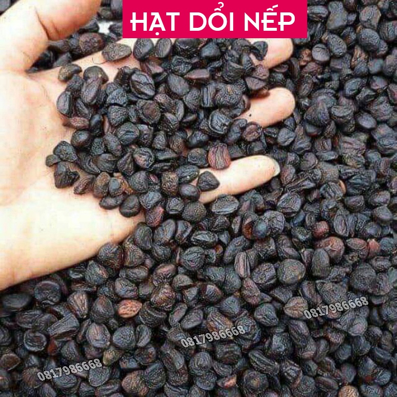 Hạt Dổi Nếp Tây Bắc Cực Thơm Gia Vị Ướp Món Nướng Đồ Chấm Chuẩn Vị Núi Rừng