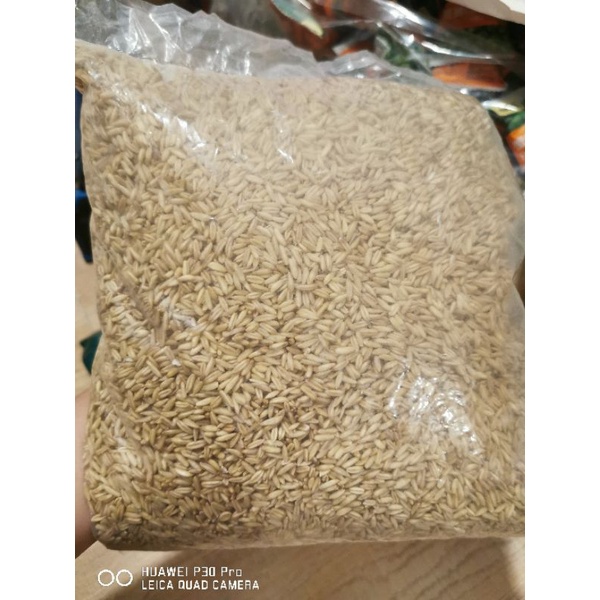 500gr Yến mạch nguyên hạt