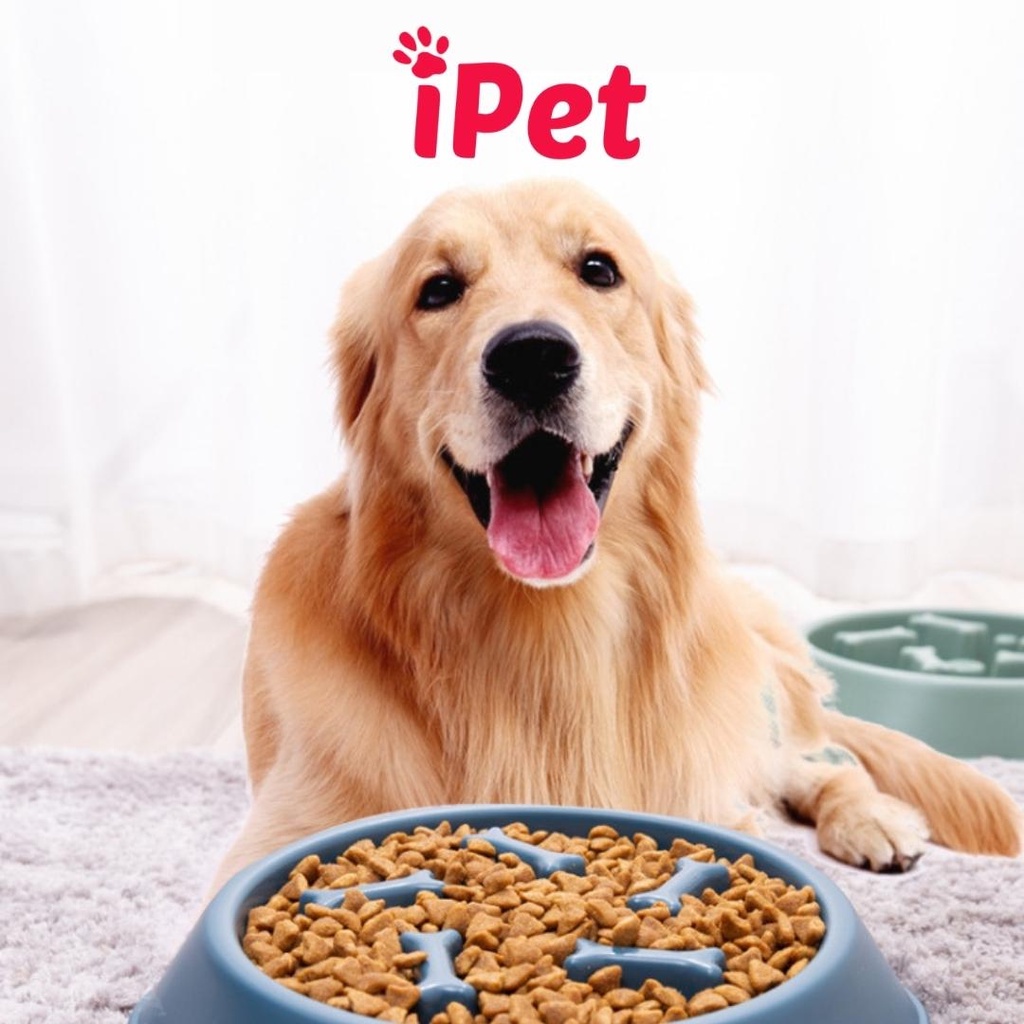 Bát cho chó mèo ăn chậm chống sặc, giảm nghẹn ói cho thú cưng - iPet Shop