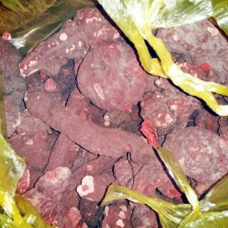 Hà thủ ô đỏ