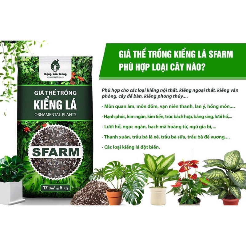 Giá thể trồng kiểng lá 17dm3( khoảng 6kg)