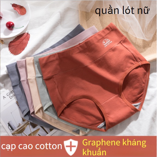 Quần Lót cotton Nguyên Chất Lưng Cao Kháng Khuẩn Có size Lớn Dành Cho Nữ Hàng Mới