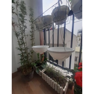 Chậu chảo nhựa (gồm chậu+dây. treo)