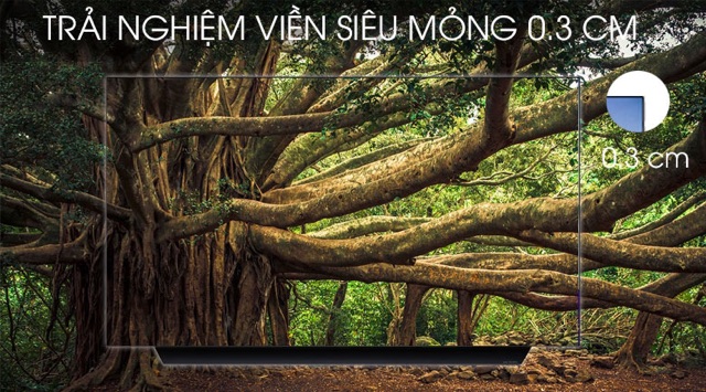 Smart Tivi OLED LG 4K 55 inch 55C9PTA.Fullbox