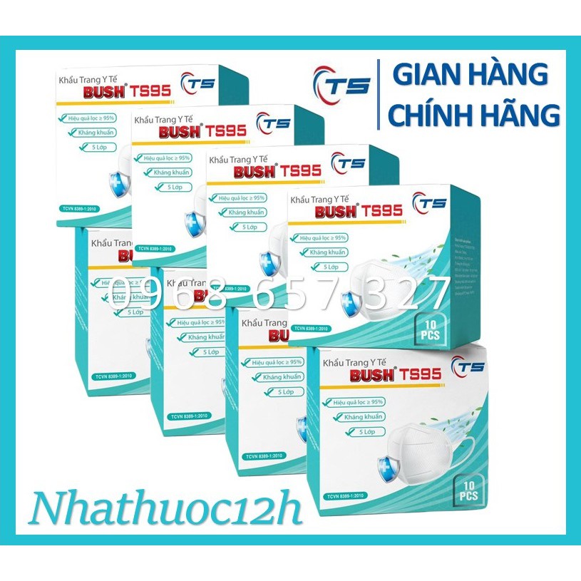 Khẩu trang 5 lớp Bush TS95 (Hộp 10 cái)