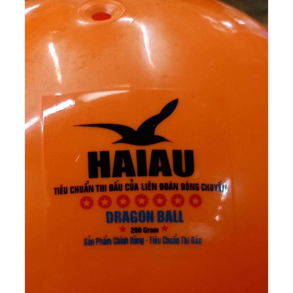 BÓNG CHUYỀN HƠI - HẢI ÂU - 200G - 250G - BANH CHUYỀN HƠI - TIÊU CHUẨN THI ĐẤU - HÀNG CHÍNH HÃNG