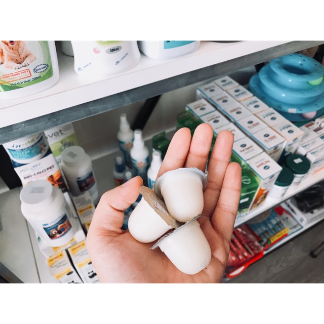 Pudding sữa dê cho thú cưng