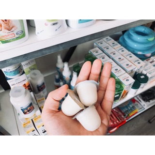 Pudding sữa dê cho thú cưng