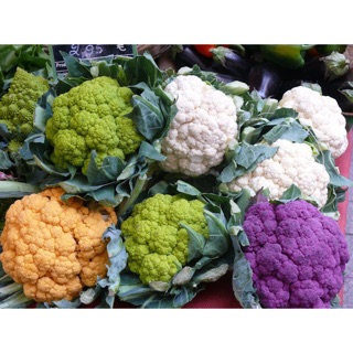 Hạt giống súp lơ nhiều màu Mix (gói: 20 hạt)