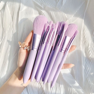 (New Arrival) Set of 10 Specialized Eyeshadow / Eyebrow / Blush Makeup Brushes