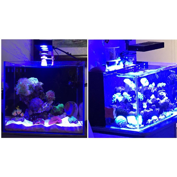Đèn Aqua Knight M029 cho hồ cá biển - Đèn M029 chuyên dụng cho hồ nước mặn - phụ kiện cá biển - shopleo