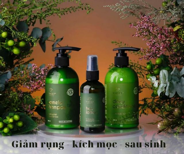 Tinh Dầu Bưởi  Dầu Gội Bưởi  Dầu Xả Hoa Cúc Vi Jully Kích Thích Mọc Tóc Làm Dài Trị Rụng Tóc | BigBuy360 - bigbuy360.vn