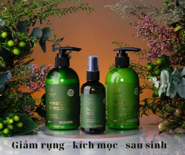 Tinh Dầu Bưởi  Dầu Gội Bưởi  Dầu Xả Hoa Cúc Vi Jully Kích Thích Mọc Tóc Làm Dài Trị Rụng Tóc