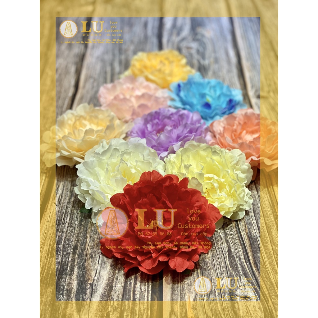 Đầu hoa mẫu đơn | LU