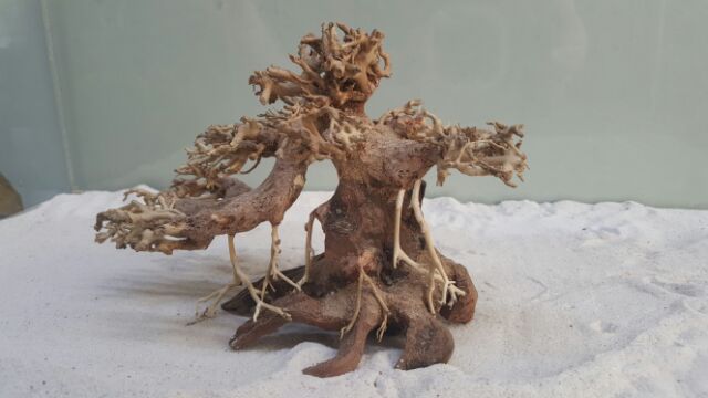 Lũa bonsai cấy rêu hồ cá số 1